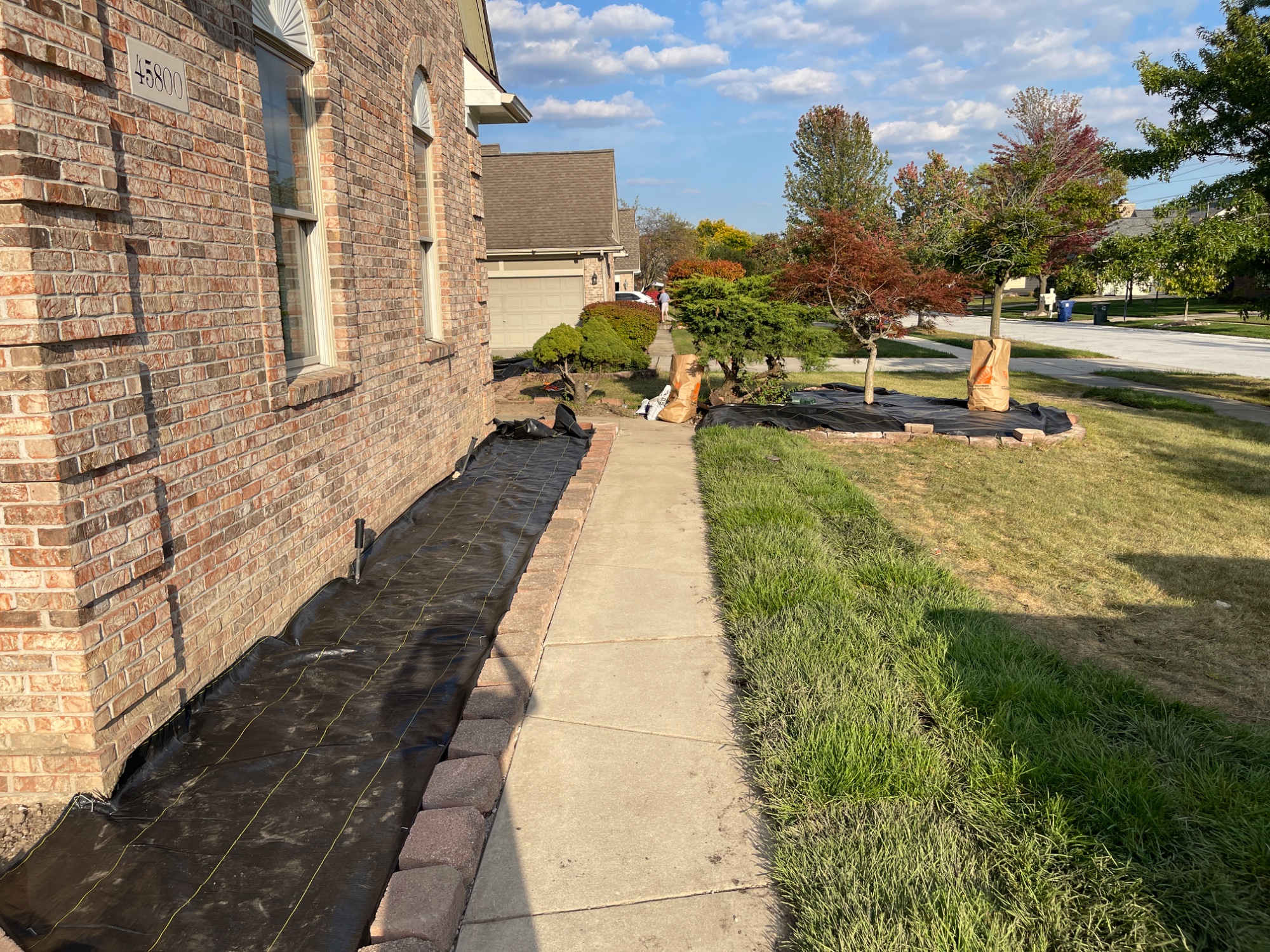 After: fresh landscape fabric and edging