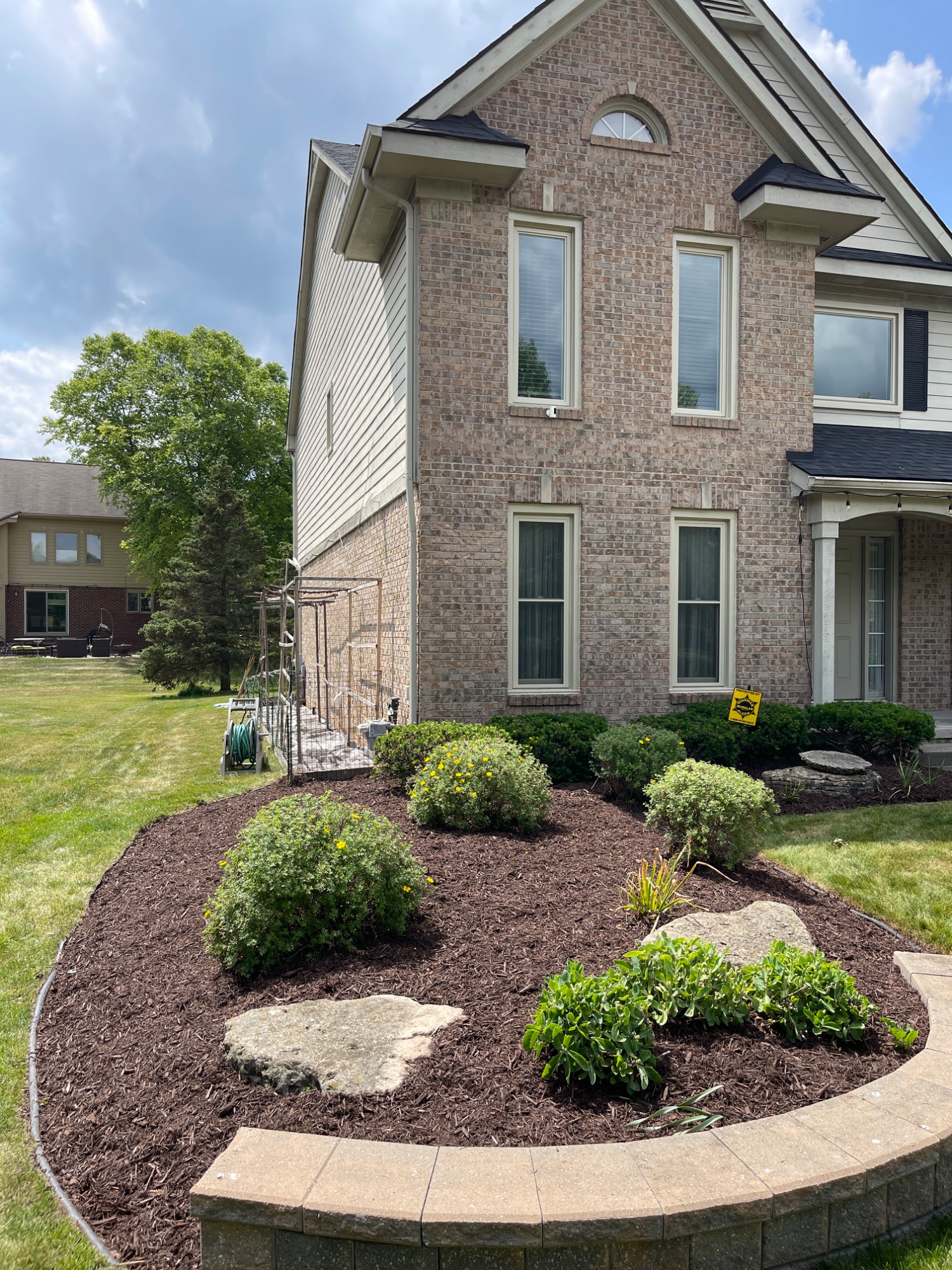 After: shaped shrubs with fresh brown mulch