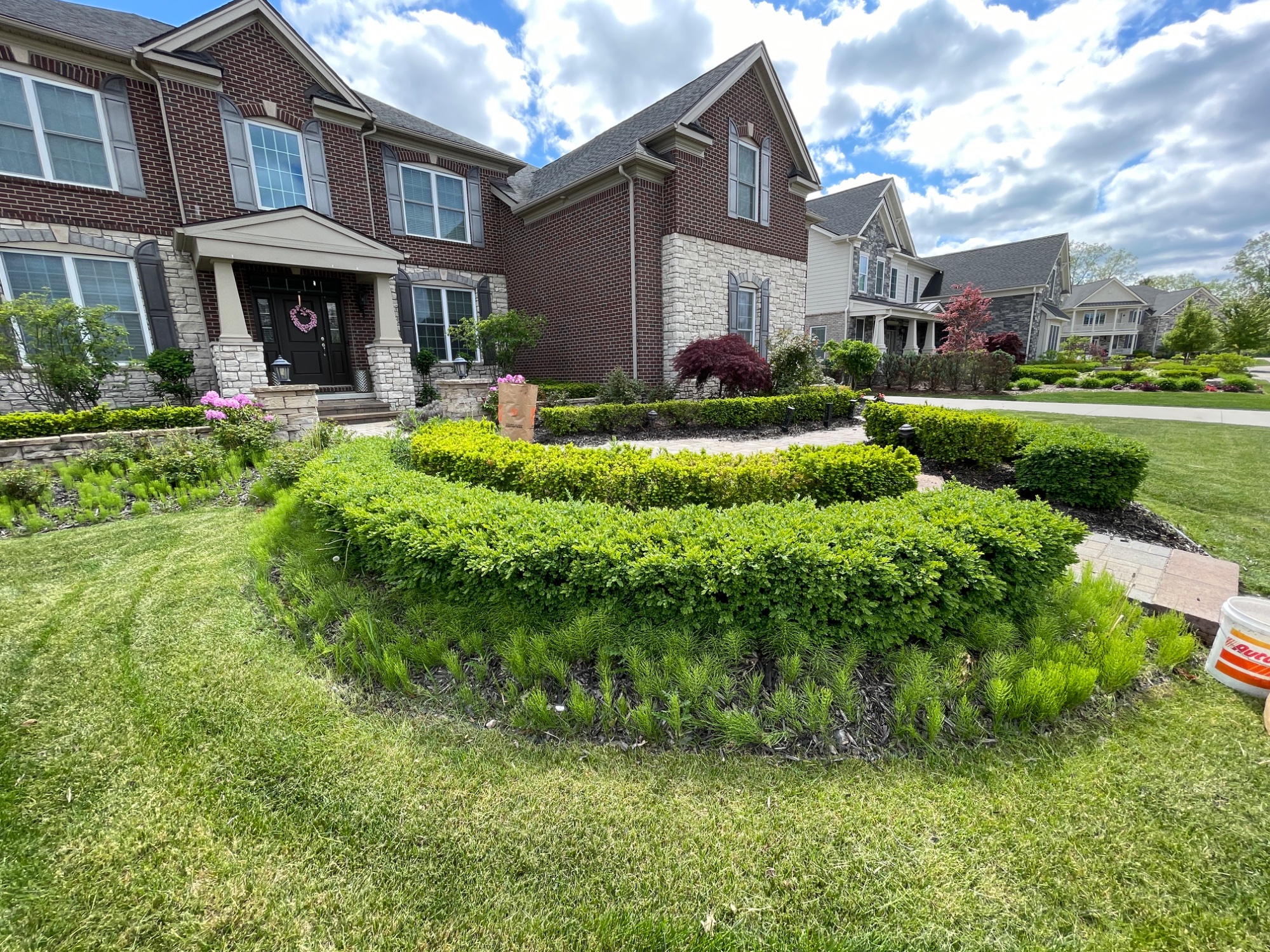 Before: overgrown hedge rows