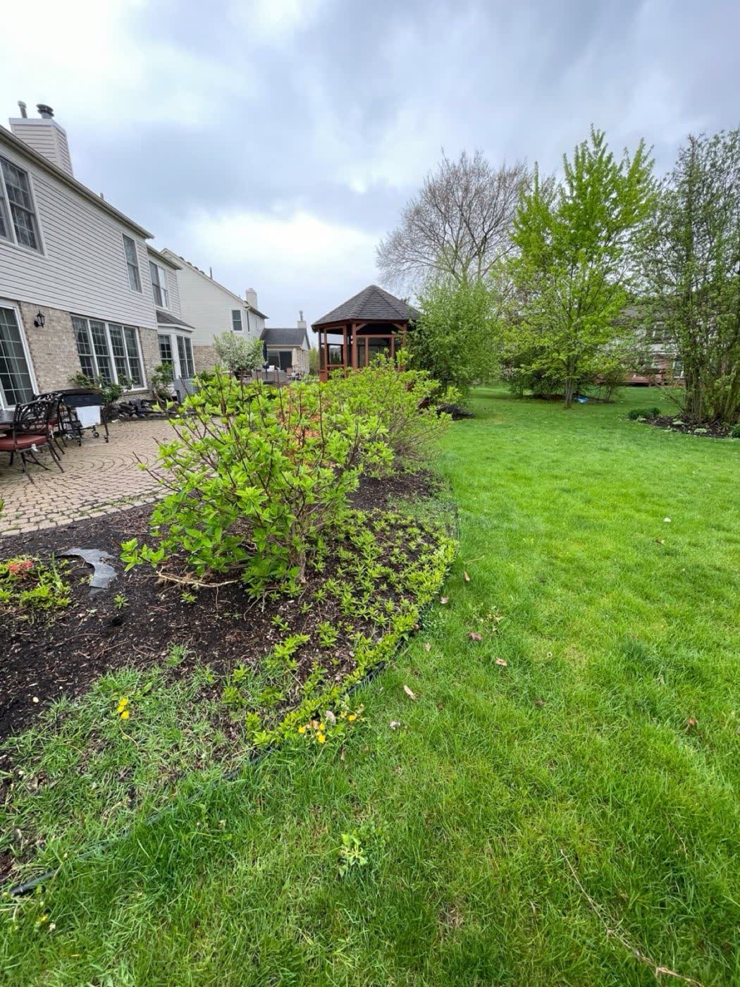 Before: a backyard bed with a broken edge, weeds coming through and thin, faded mulch