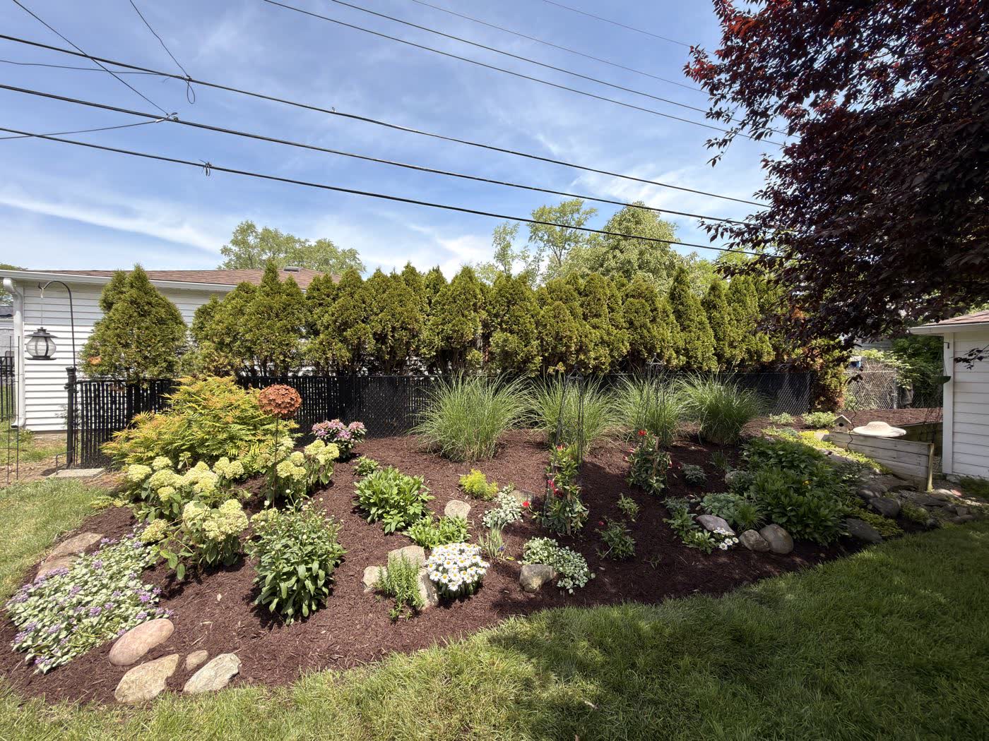 Large backyard perennial bed with hostas, hydrangeas and layered planting