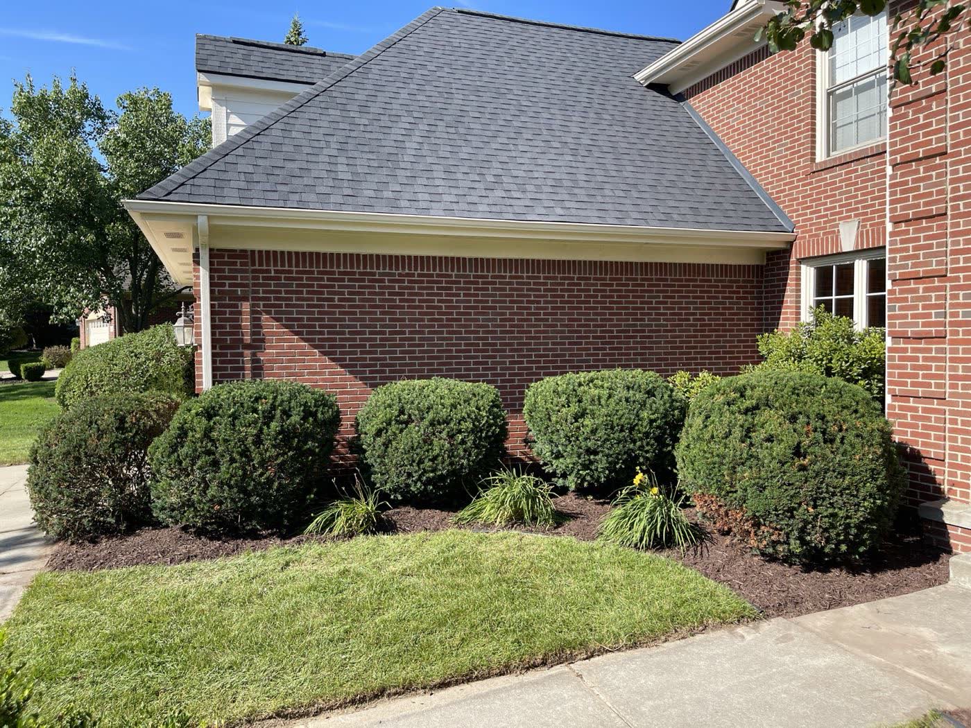 Trimmed foundation shrubs and freshly mulched beds along a brick home