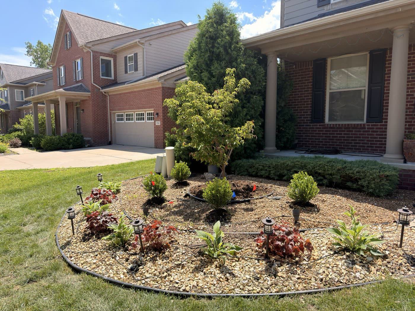 Front planting bed with a Japanese maple and ornamental grasses