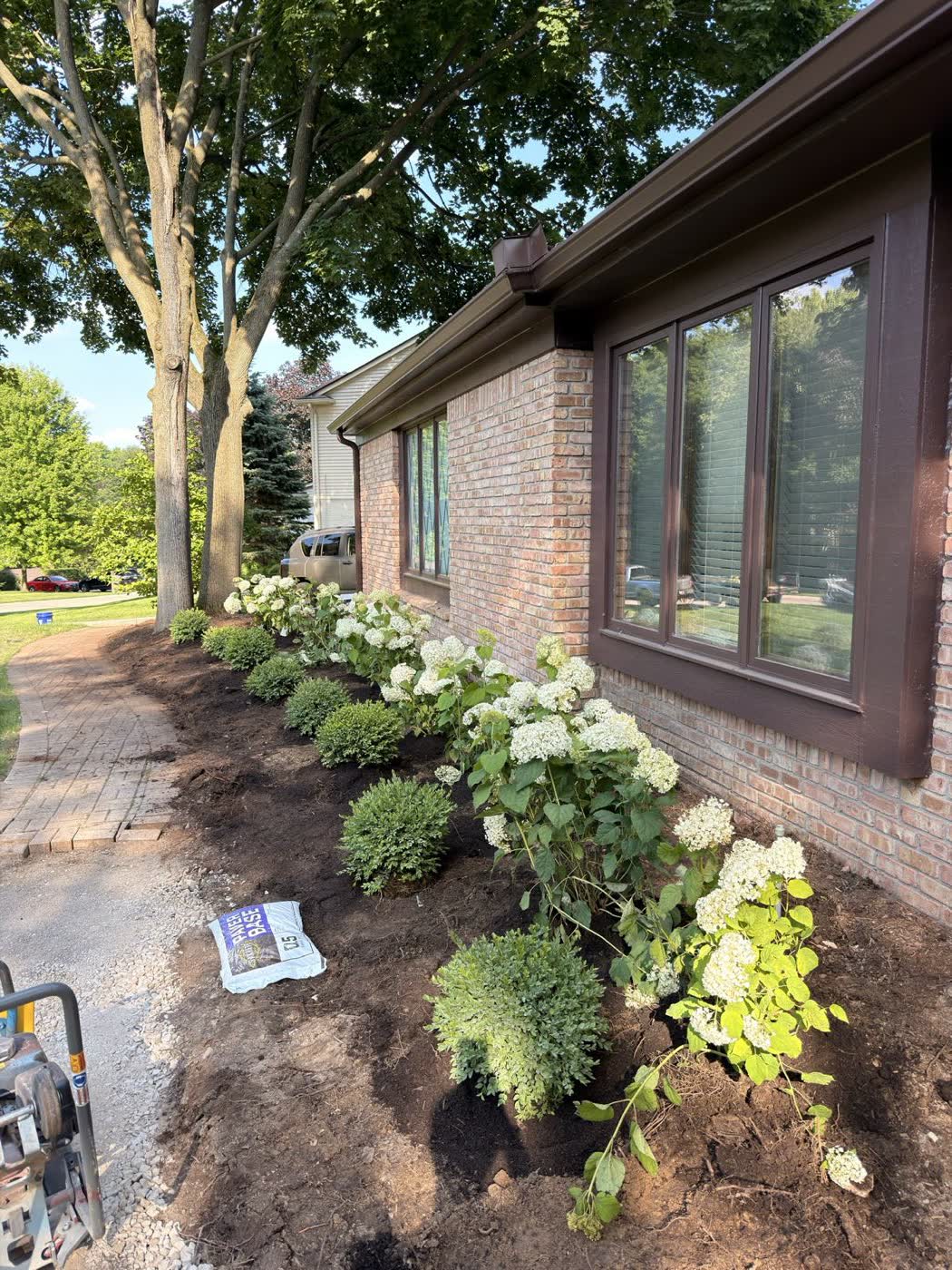 Hydrangeas and foundation plantings along the front of a brick home