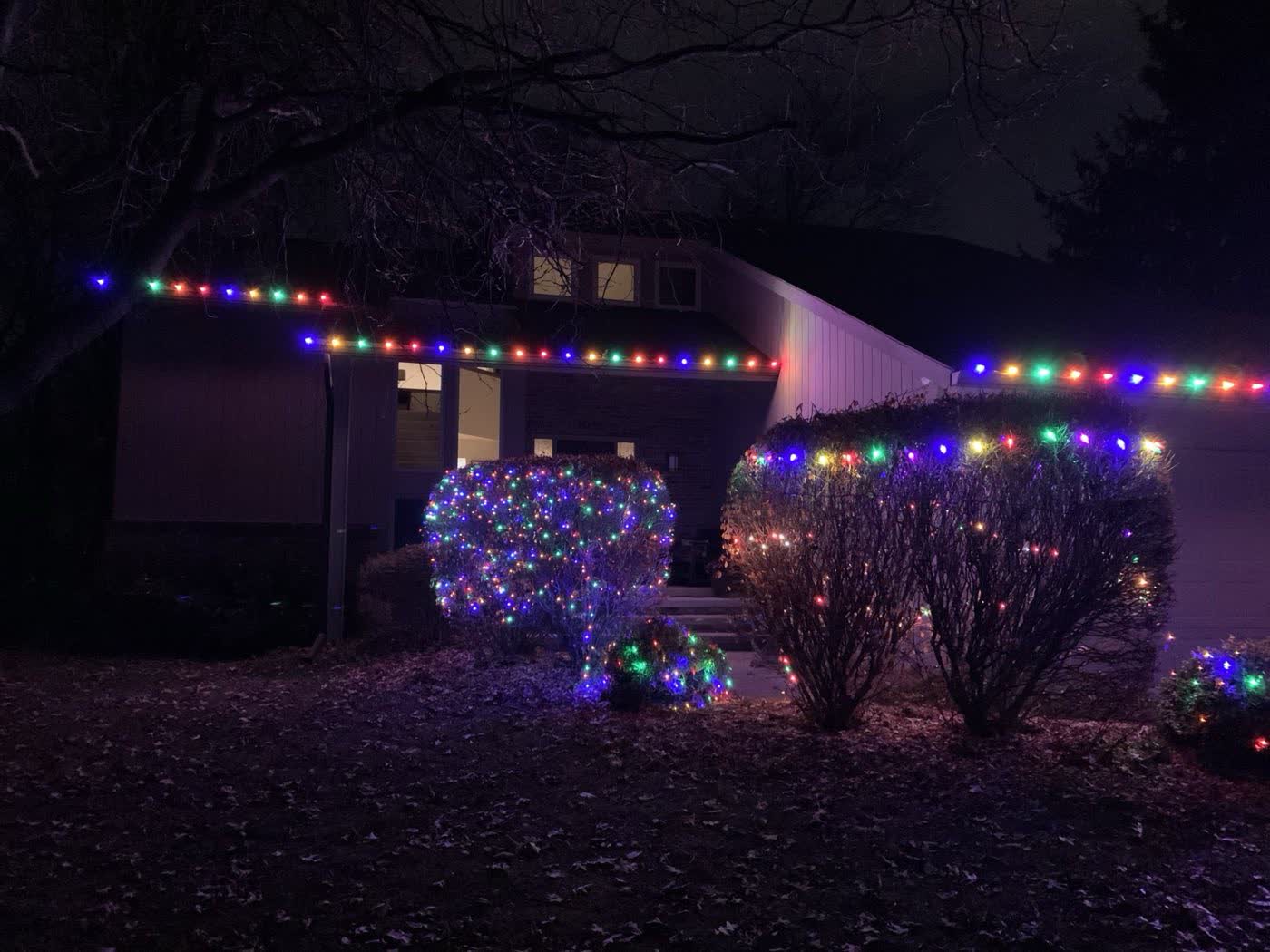 Colourful holiday lighting installed on shrubs and along a roofline