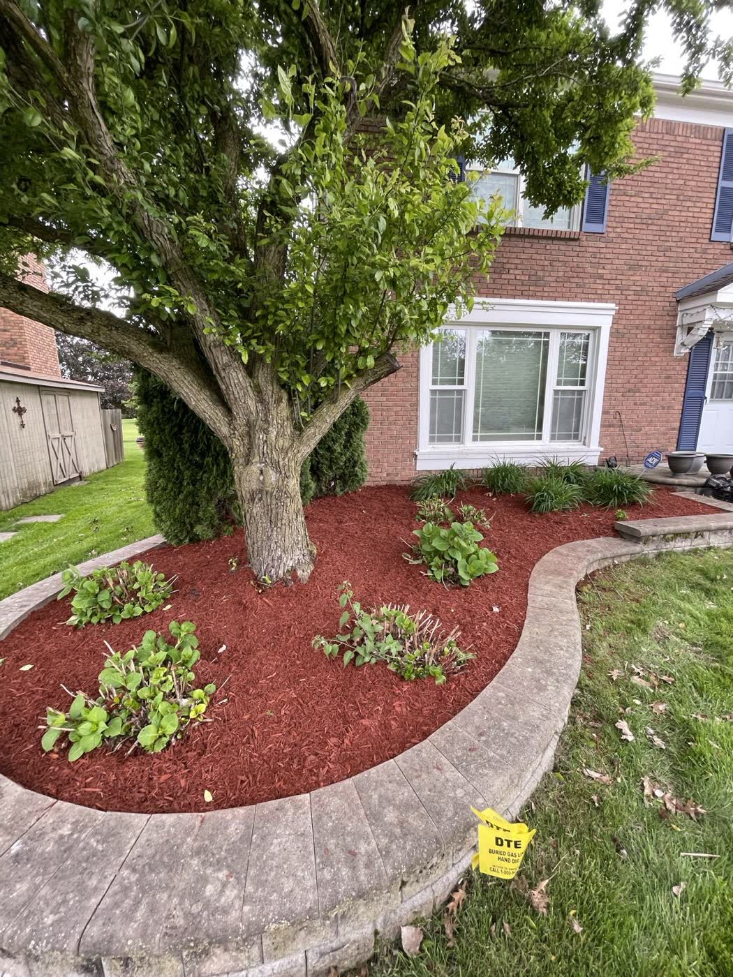 Red mulch tree ring with stone border and new plantings