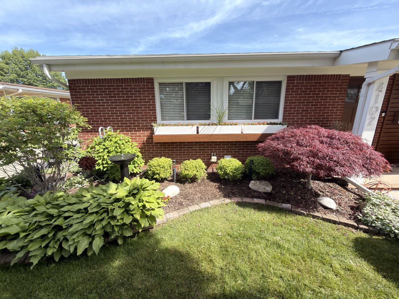 Brick ranch with a full foundation bed of hostas, Japanese maple and boulders