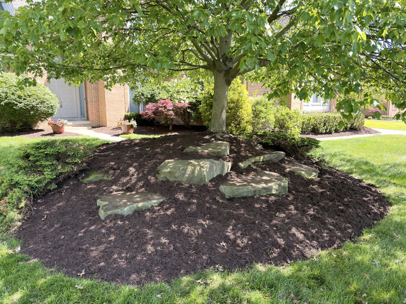 Wide mulch bed with boulder accents around a mature shade tree